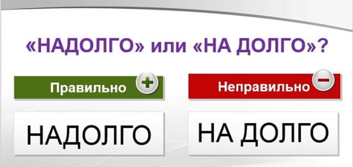 На долго или надолго как пишется