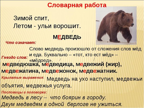 Медведь проверочное слово