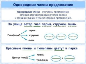 Однородные члены предложения фото