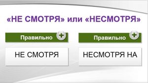 «Не смотря» или «несмотря», как правильно?