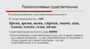 Разносклоняемые существительные 5 класс презентация