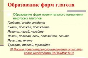 Лягте на кушетку более надежный не ложи локти на стол пятистам абонентам две пары джинсов