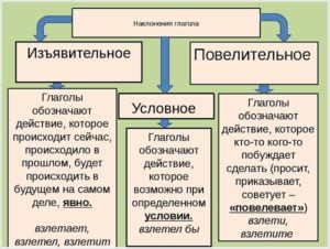 Признаки глагола картинки