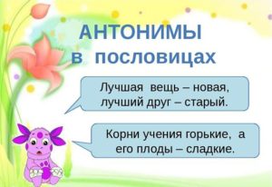 Слова антонимы картинки для детей