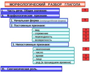 Морфологический разбор глагола - образец, примеры