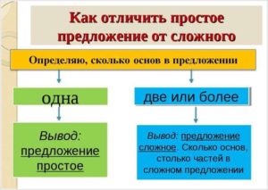 Сложное предложение образец