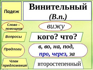 Картинки для детей винительный падеж