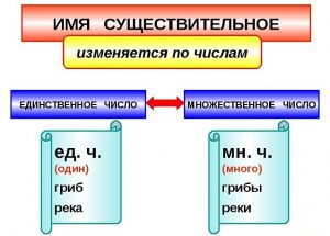 Единственное и множественное число глаголов презентация